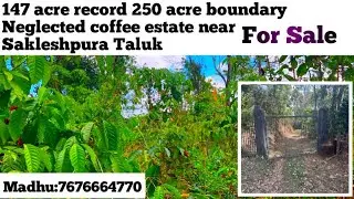 (#99) 147 acre  neglected coffee estate for sale near sakleshpura   (T) ☎️7676664770