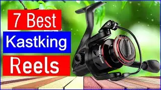Top 7 Best Kastking Reels in 2026 | Best Kastking Reels - Reviewed