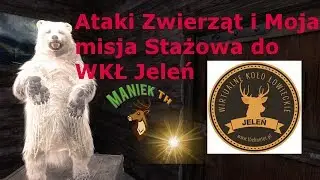 Ataki Zwierząt i Moja misja stażowa do WKŁ Jeleń