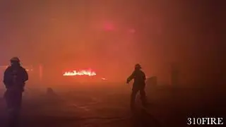 LAFD Major Emergency Fire Station 17 | LOS ANGELES, CA