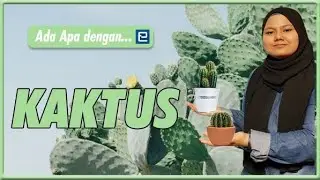Ada Apa Dengan ... | Kaktus 🌵
