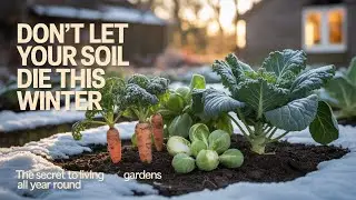Don&rsquo;t Let Your Soil Die This Winter  The Secret to Living Gardens All Year Round