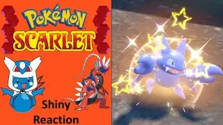 Pokemon Scarlet:  Shiny Gligar Reaction
