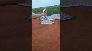 failed flight project | rc eagle kite     #diy #creative #kite #rc