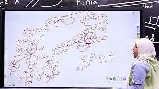 مراجعة شاملة