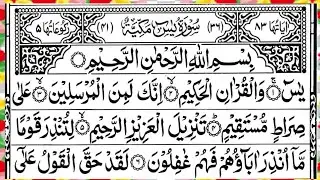 Surah Yaseen❣️Surah Yasin🌹Surah Rahman❣️Surah mulk🌹 Surah Muzammil❣️Surah Kahf🌹Yasin Quran💓0014