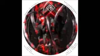 Born in Flamez  - The Coming Insurrection (Paula Temple remix)