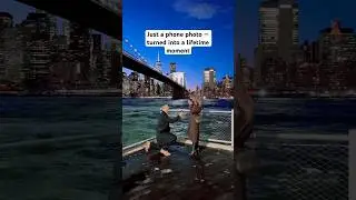 Proposal New York