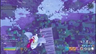 Chickens+triple jump+stw