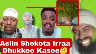 🙆Aslin Sheekota irraa Dhukkee Kasee Sababaa jimaa