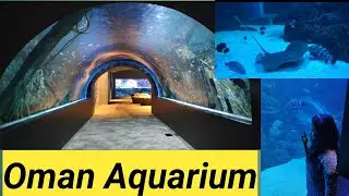 Oman Aquarium Tour In Muscat Oman/ Mall Of Muscat/ Best Place To Visit In Muscat Oman/ Hearty Smile😊