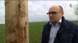 poteaux pour rapaces