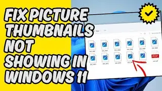 [Easy Guide] Fix Picture Thumbnails Not Showing in Windows 11