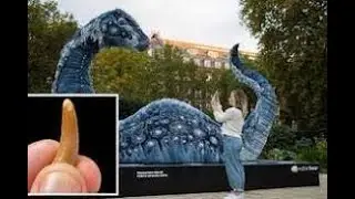 Loch Ness Monster Bombshell! Creature's Existence 'PLAUSIBLE' after Major Fossil Discovery!