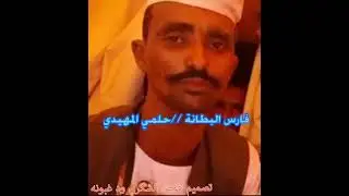 الشاعر حلمي المهيدي