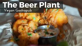 The Beer Plant