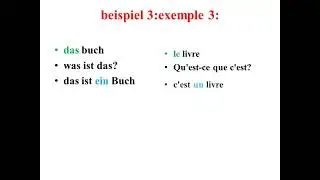 les articles définis et indéfinis en Allemand