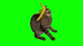 Ahlelele ahlelas meme  Green Screen