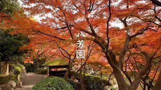 Happo-En Garden - Tokyo - 八芳園 - 4K Ultra HD