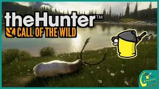 Introducing The Hunter : Call of the Wild - a New Player Strategy Guide [Jay's Lantern Side Story]