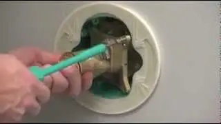 Het thermostatische element vervangen van e