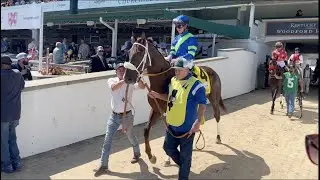 Kentucky Oaks Champion, Secret Oath, returns to Churchill Downs in 2023 La Troienne Stakes