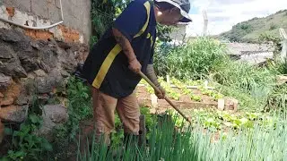 Dia de limpesa dos canteiros e carriador