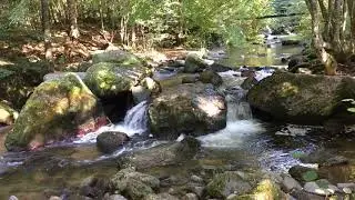 Wandern im Pesenbachtal