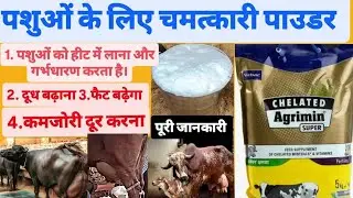 Chelated Agrimin Super powder||Virbac||chelated minerals and vitamins feed supplement पशुओं को कैसे