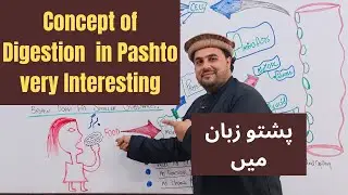 Lecture # 1 | Concept of Digestion | In Pashto Language | LEC : M . SAJJAD KHAN |