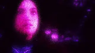 Rashida Prime - {unworthy}