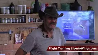 Part 3, Styles of Flying, Preview Freeflight Parrot Training Course with Chris Biro