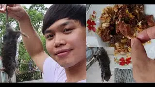 Rat from paddy-field | Fried Rat | လယ်ကြွက်ကြော် | Eating unusual food