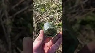 Bottle digging #bottledigging  #antique #victorian #collector #collection #ancient #rare #shorts #fy