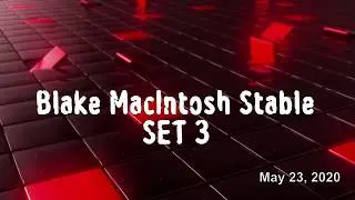 MUSCLE JACK, SAN CRISTOBAL, BLACK TIE BASH, , , , , , , - Blake MacIntosh Stable - 5/23/2020