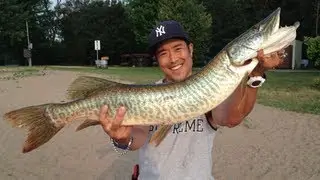W4F - Bass and Musky Fishing 