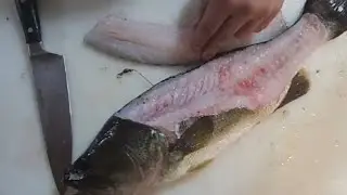 The best way to filet bass.