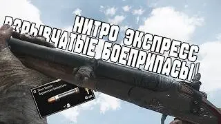 ТЫ ВСЁ ЭТО ВРЕМЯ ИГРАЛ С НЕЙ НЕ ПРАВИЛЬНО / ВЗРЫВНАЯ НИТРО ЭКСПРЕСС