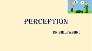 Perception - Organisational behaviour,