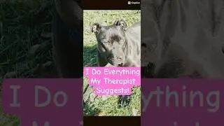 Rescue Dog Peace | A Real Moment #rescuedog #dogshorts