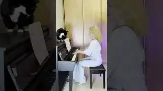 Tom Odell - Another Love #piano #music #pianocover