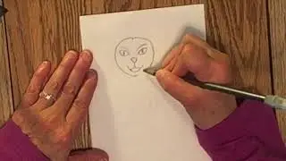 A Way to Draw a Cartoon Cat