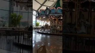 The carousel at the Woodlands Mall Woodlands Texas