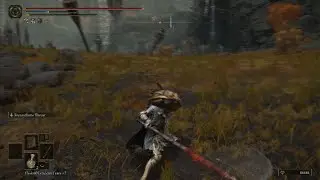 Random Hammer Enemy in ELDEN RING