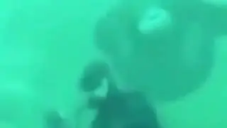 Underwater Monkey