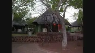 Afrique du Sud - Parcs Nationaux du Nord
