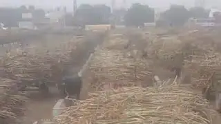 #kisanchallenge Kisan Status 2021 I support kisan/dabang gujjar Status