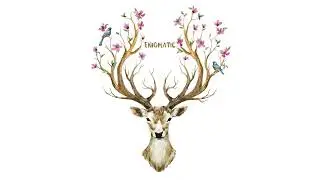The Soulcast 017 with Enigmatic