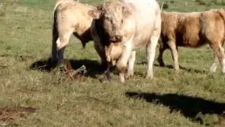 MOV08372