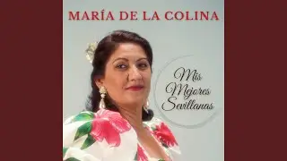 Que la Virgen Viene